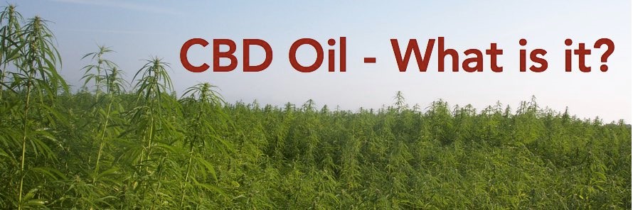 CBD Oil Zero THC Vansant 
      VA